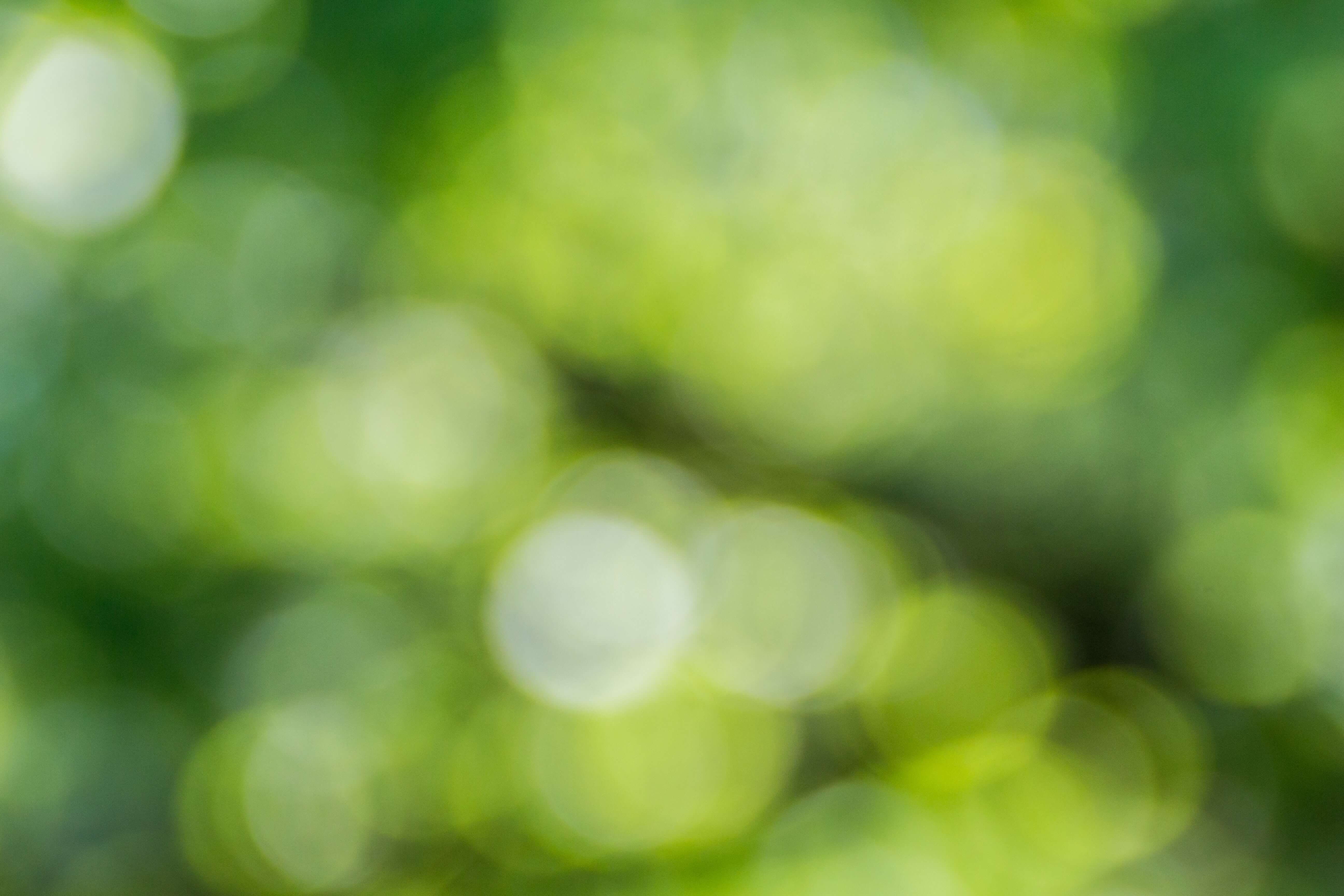 Why greenwashing has become a hot topic and what you can do about it
