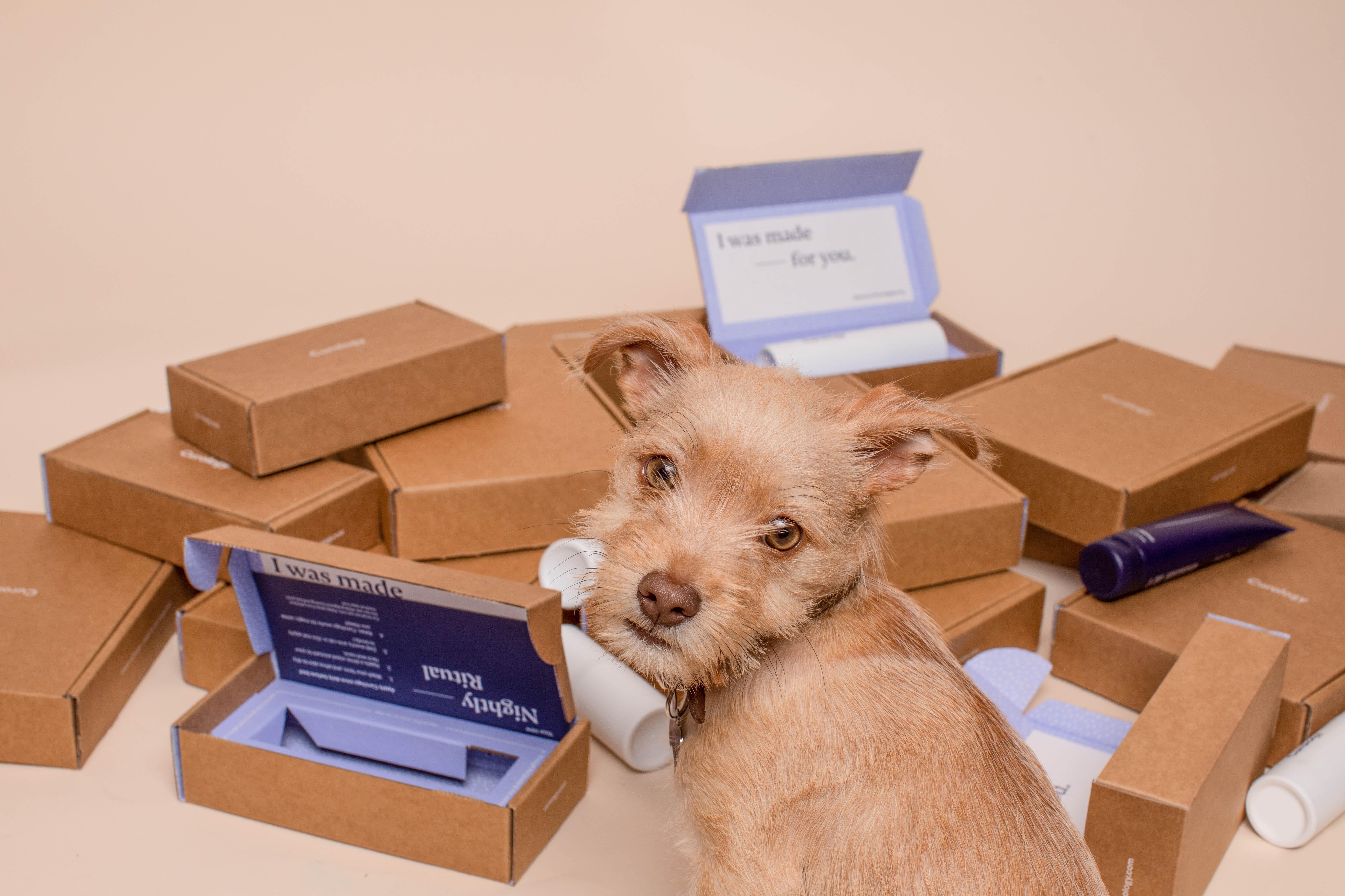 WHY RETURNS ARE KILLING YOUR BUSINESS AND WHAT TO DO ABOUT IT
