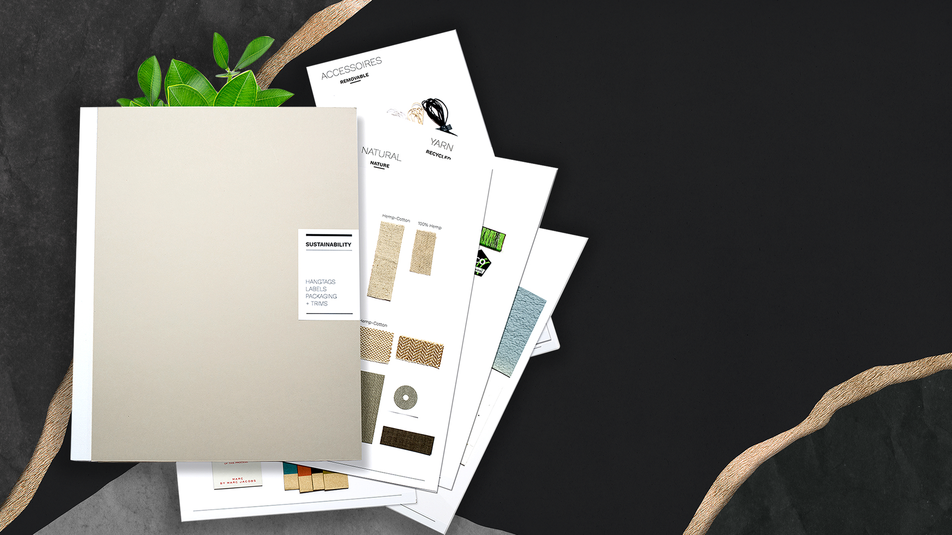 Smart Sustainable Packaging Options for Your Brand